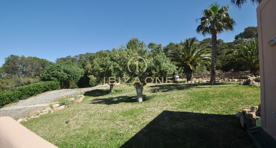 Photos of the property