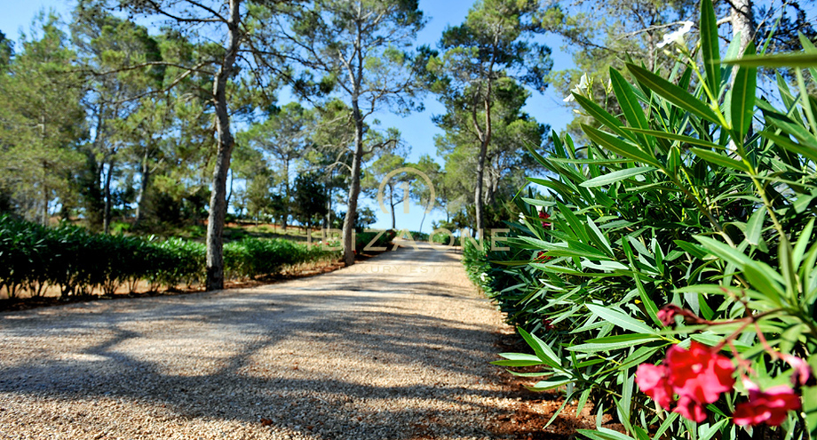 Foto dell'oggetto