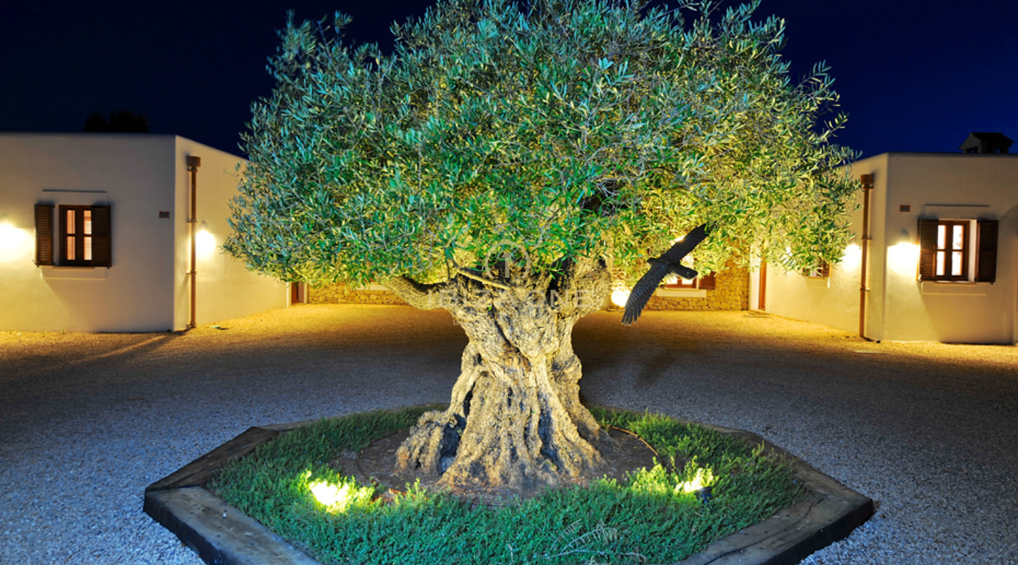 Luxe villa op toplocatie met adembenemend uitzicht te koop, Ibiza - Luxe villa op toplocatie met adembenemend uitzicht te huur, Ibiza