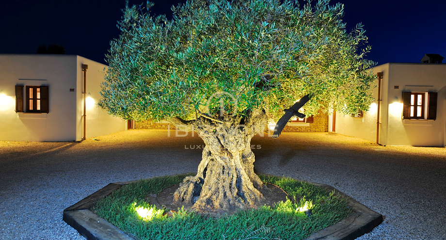 Foto dell'oggetto