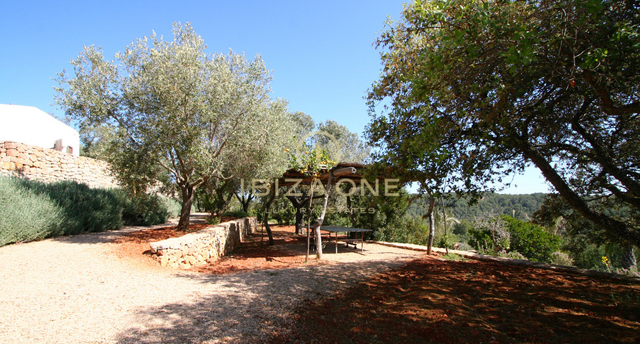 Foto dell'oggetto