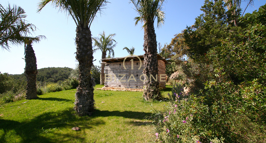 Photo de l'objet