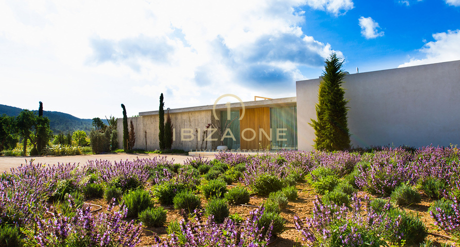 Photos of the property