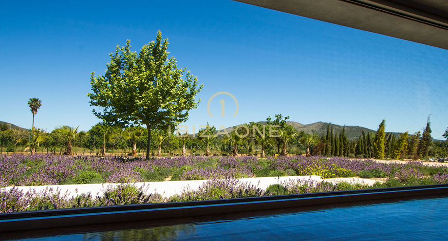 Photos of the property