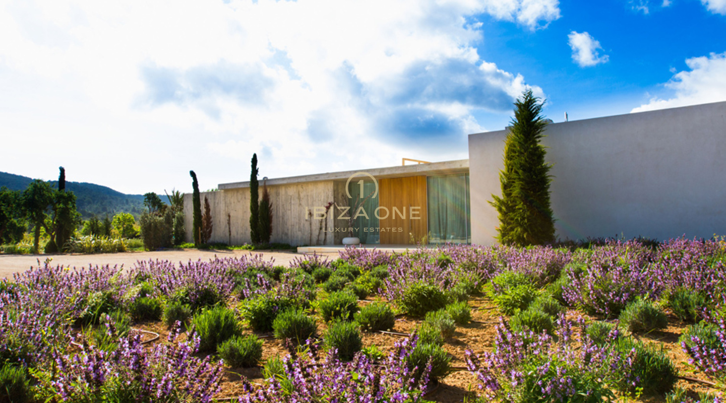 Villa moderna di ottimo gusto con ampio terreno in vendita, Ibiza - Villa moderna di ottimo gusto con ampio terreno in affitto, Ibiza