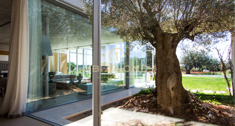 Photos of the property