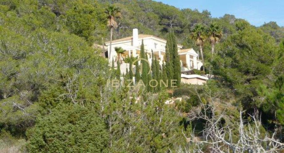 Photos of the property