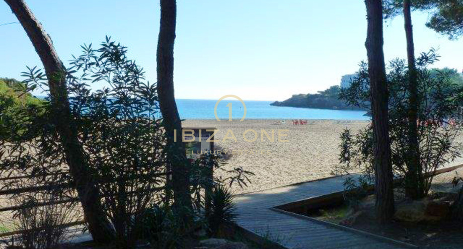 Foto van het vastgoed