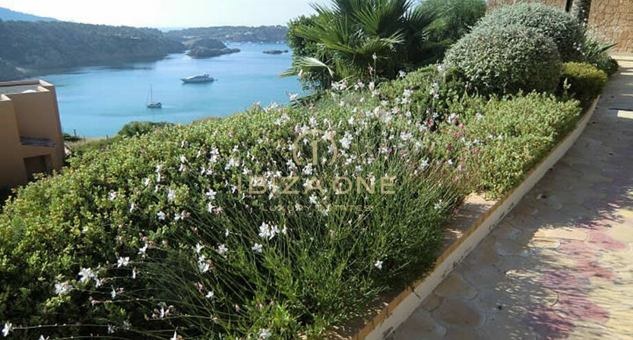 صور العرض