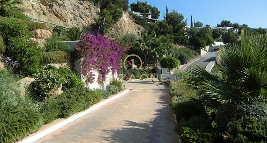 صور العرض