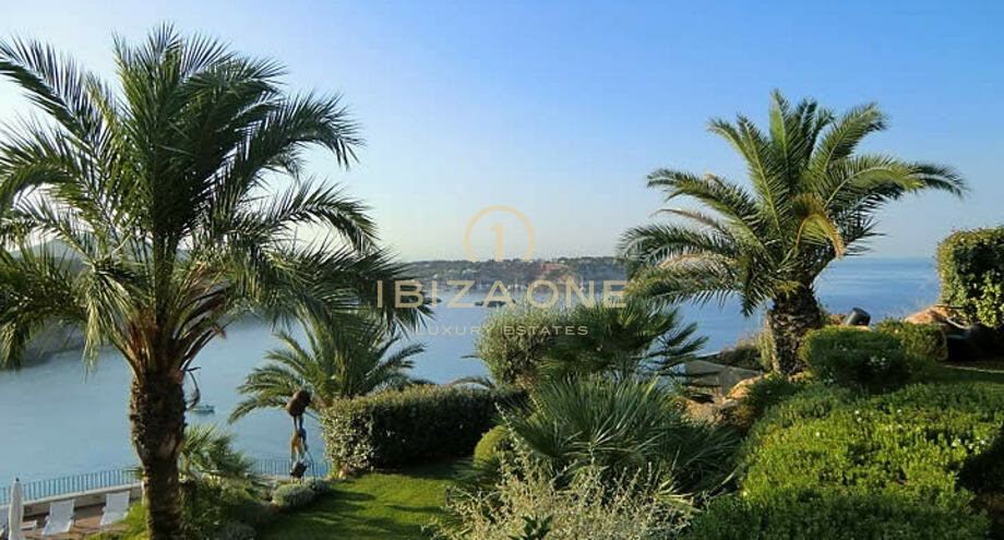 صور العرض