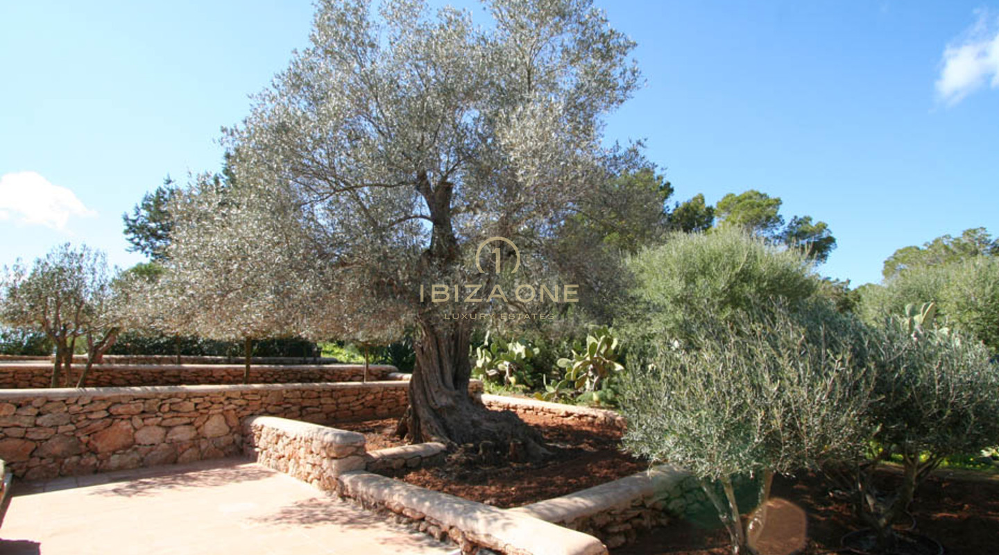 Luxe Blakstad finca te koop, Ibiza - Luxe Blakstad finca te huur, Ibiza