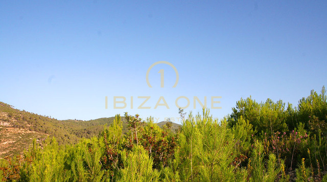 First line to the sea / seafrontline villas / waterfront villas: 2 villas with sea and beach access for sale, Ibiza - First line to the sea / seafrontline villas / waterfront villas: 2 villas with sea and beach access for rent, Ibiza