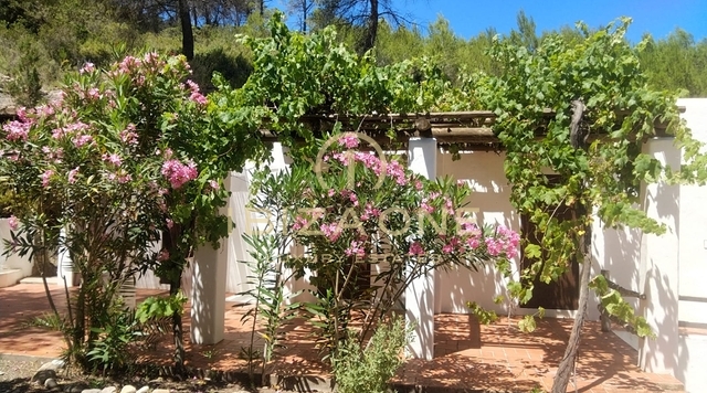 Primera línea de mar / villas en primera línea / villas frente al mar: 2 villas con acceso al mar y a la playa en venta, Ibiza - Primera línea de mar / villas en primera línea / villas frente al mar: 2 villas con acceso al mar y a la playa en alquiler, Ibiza