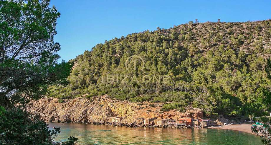 صور العرض