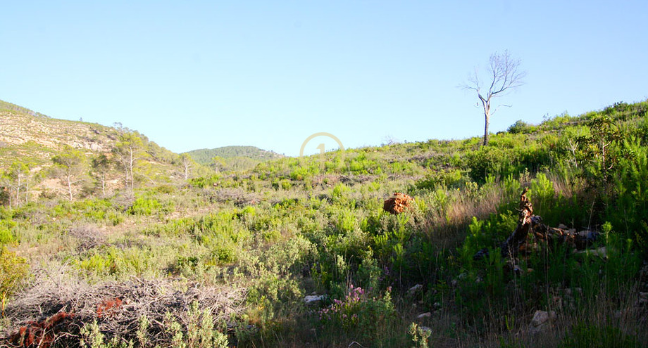 Photos of the property
