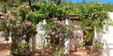 Foto dell'oggetto