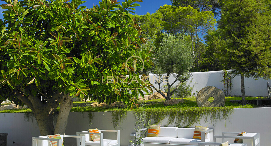 Photos of the property