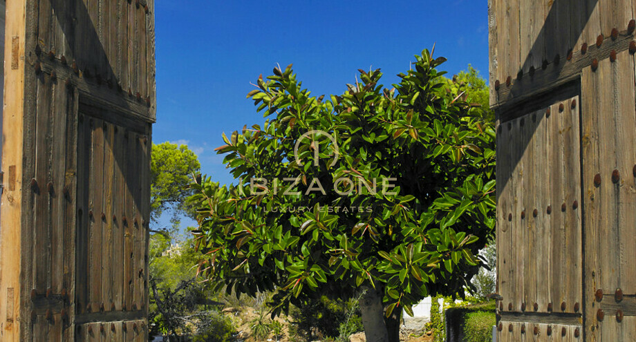 Photos of the property