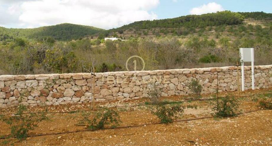 Photos of the property
