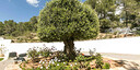 Foto dell'oggetto