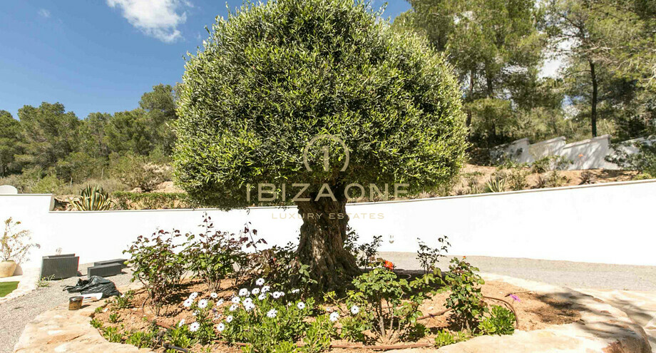 صور العرض