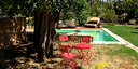 Photo de l'objet