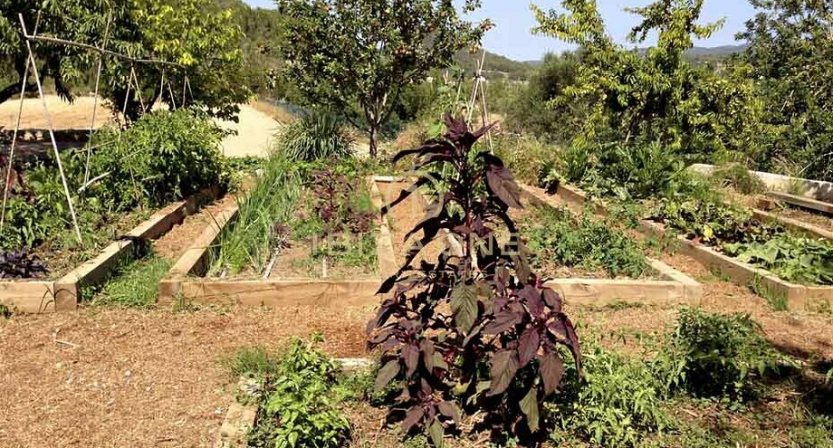 صور العرض