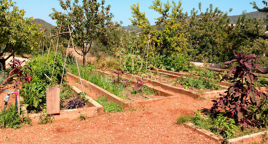 Photos of the property