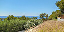 Foto dell'oggetto