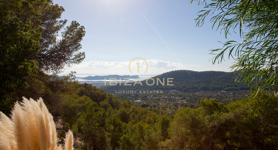 Foto van het vastgoed