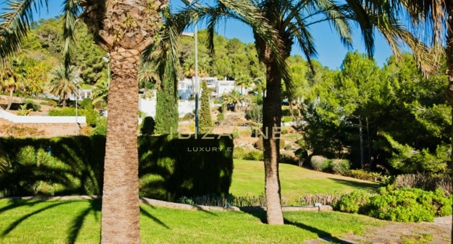 Photos of the property