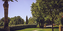 Foto dell'oggetto
