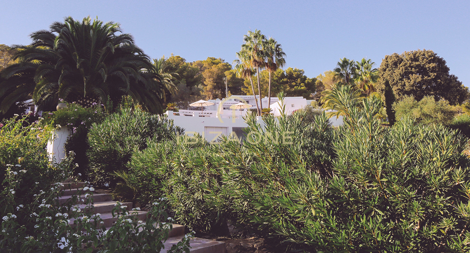 Fotos de la propiedad