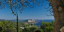 Foto dell'oggetto