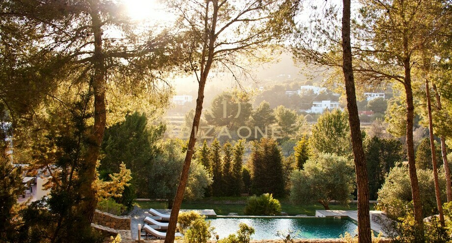 صور العرض