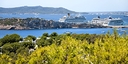 Foto dell'oggetto