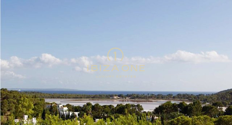 صور العرض