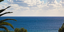 Foto dell'oggetto