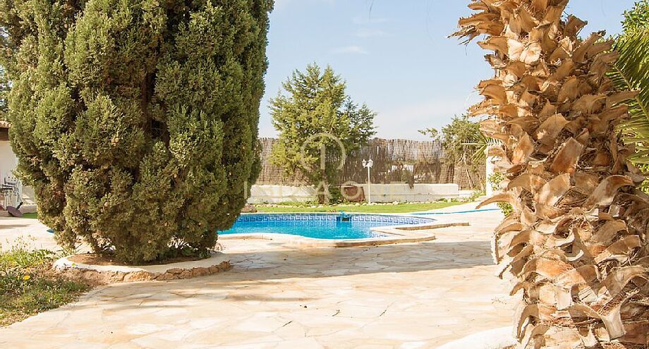صور العرض