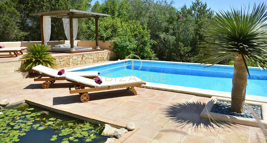 Photos of the property