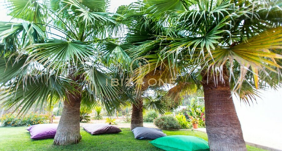 صور العرض