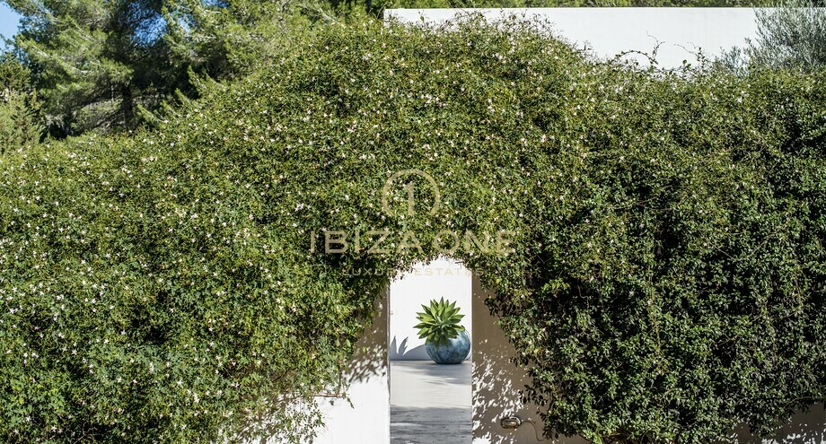 Photos of the property
