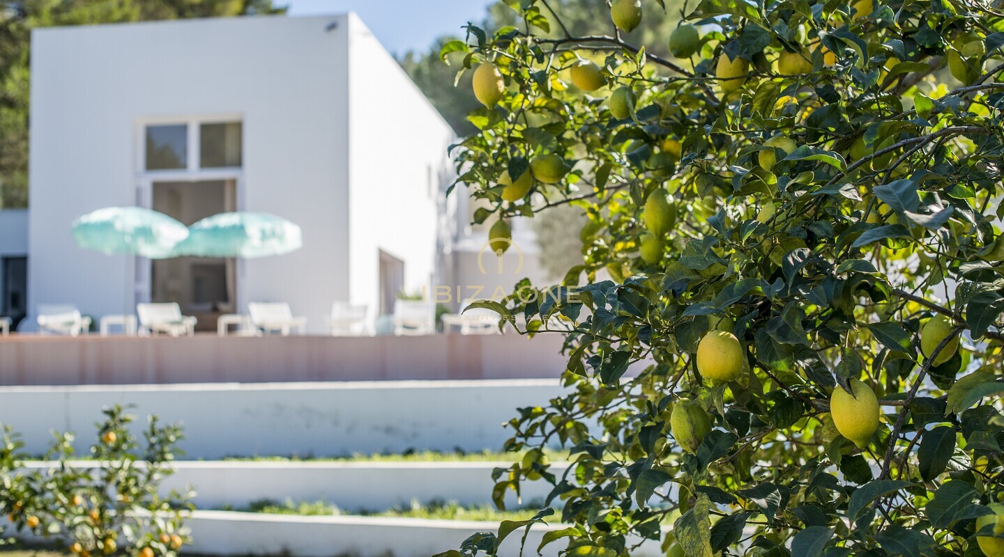 Villa de lujo, moderna y de diseño en el norte de Ibiza en venta, Ibiza - Villa de lujo, moderna y de diseño en el norte de Ibiza en alquiler, Ibiza