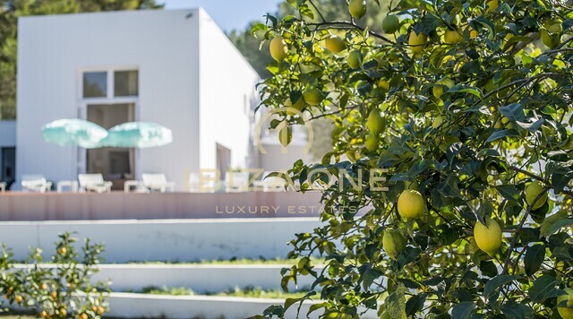 Villa di lusso, moderna e di design in vendita nel nord di Ibiza, Ibiza - Villa di lusso, moderna e di design in affitto nel nord di Ibiza, Ibiza