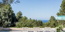 Foto dell'oggetto