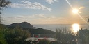 Foto dell'oggetto