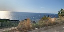 صور العرض