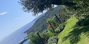 صور العرض