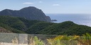 Foto dell'oggetto